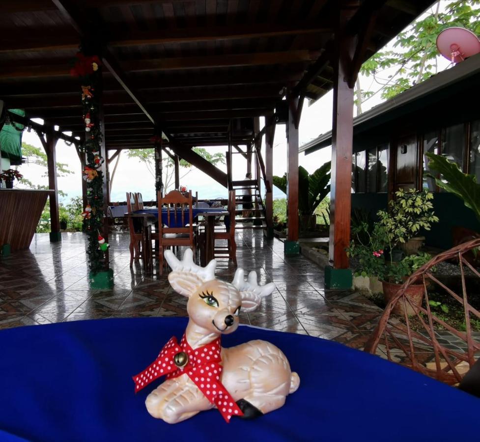 Hotel Mirador Osa Mogos Zewnętrze zdjęcie